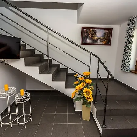 Sloneczna Osada - Komfortowe Domki Krościenko Exteriér fotografie